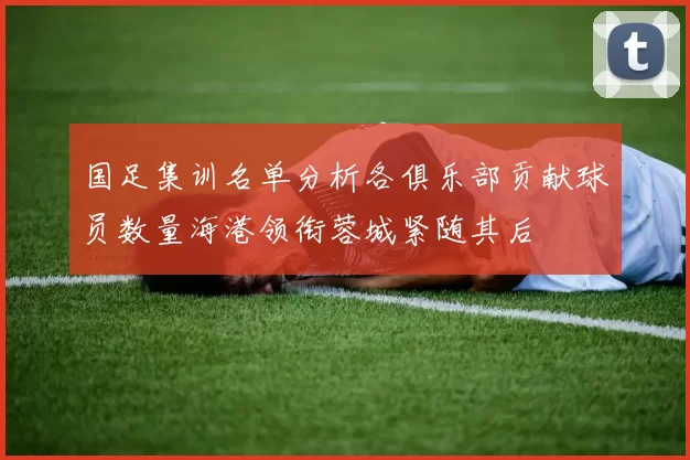 国足集训名单分析各俱乐部贡献球员数量海港领衔蓉城紧随其后
