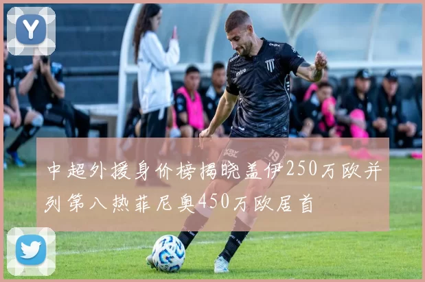 中超外援身价榜揭晓盖伊250万欧并列第八热菲尼奥450万欧居首